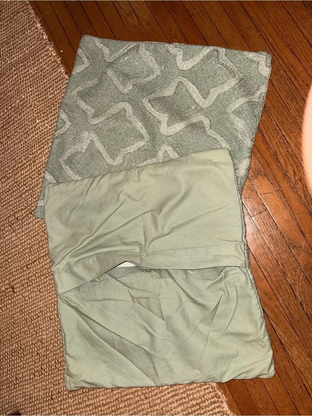 Pottery Barn (2) beaded sage Green/blue 20x20 pillow covers